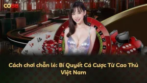 Cách chơi chẵn lẻ: Bí Quyết Cá Cược Từ Cao Thủ Việt Nam