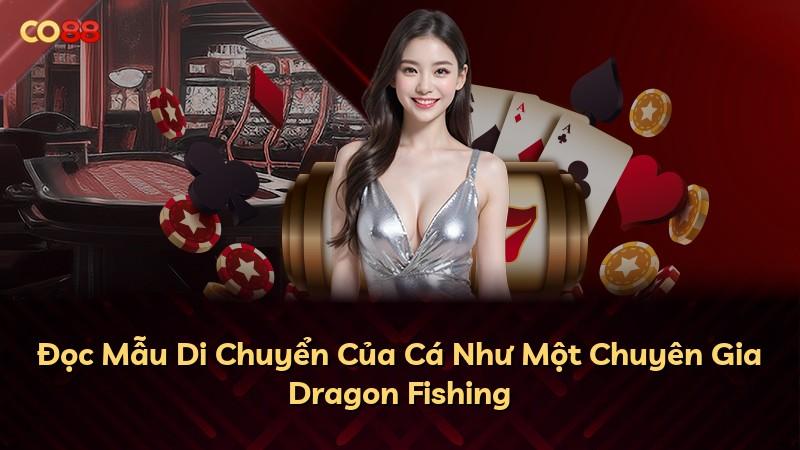Đọc Mẫu Di Chuyển Của Cá Như Một Chuyên Gia Dragon Fishing
