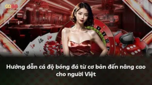 Hướng dẫn cá độ bóng đá từ cơ bản đến nâng cao cho người Việt
