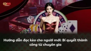 Hướng dẫn đọc kèo cho người mới: Bí quyết thành công từ chuyên gia
