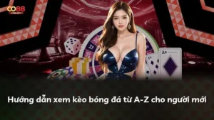 Hướng dẫn xem kèo bóng đá từ A-Z cho người mới