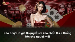 Kèo 0.5/1 là gì? Bí quyết soi kèo chấp 0.75 thắng lớn cho người mới