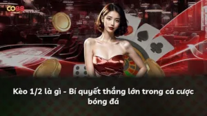 Kèo 1/2 là gì – Bí quyết thắng lớn trong cá cược bóng đá