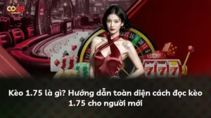Kèo 1.75 là gì? Hướng dẫn toàn diện cách đọc kèo 1.75 cho người mới