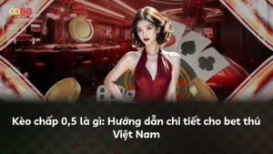 Kèo chấp 0,5 là gì: Hướng dẫn chi tiết cho bet thủ Việt Nam