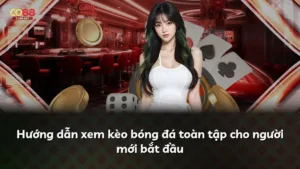 Hướng dẫn xem kèo bóng đá toàn tập cho người mới bắt đầu