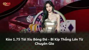 Kèo 1.75 Tài Xỉu Bóng Đá – Bí Kíp Thắng Lớn Từ Chuyên Gia