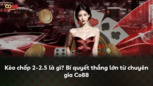 Kèo chấp 2-2.5 là gì? Bí quyết thắng lớn từ chuyên gia Co88
