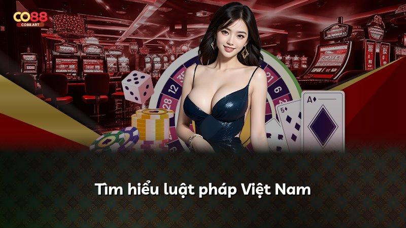 Tìm hiểu luật pháp Việt Nam